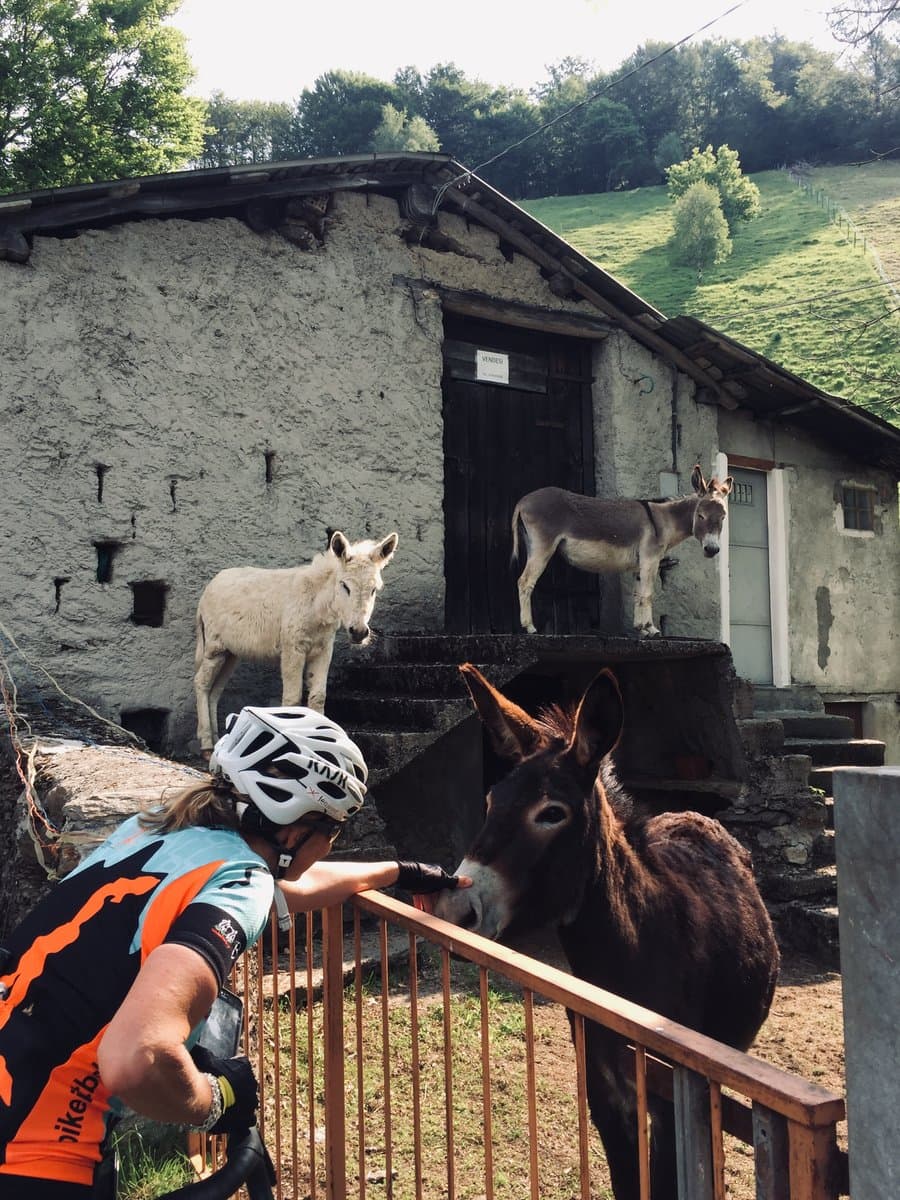 val cavargna 1 val cavargna 1