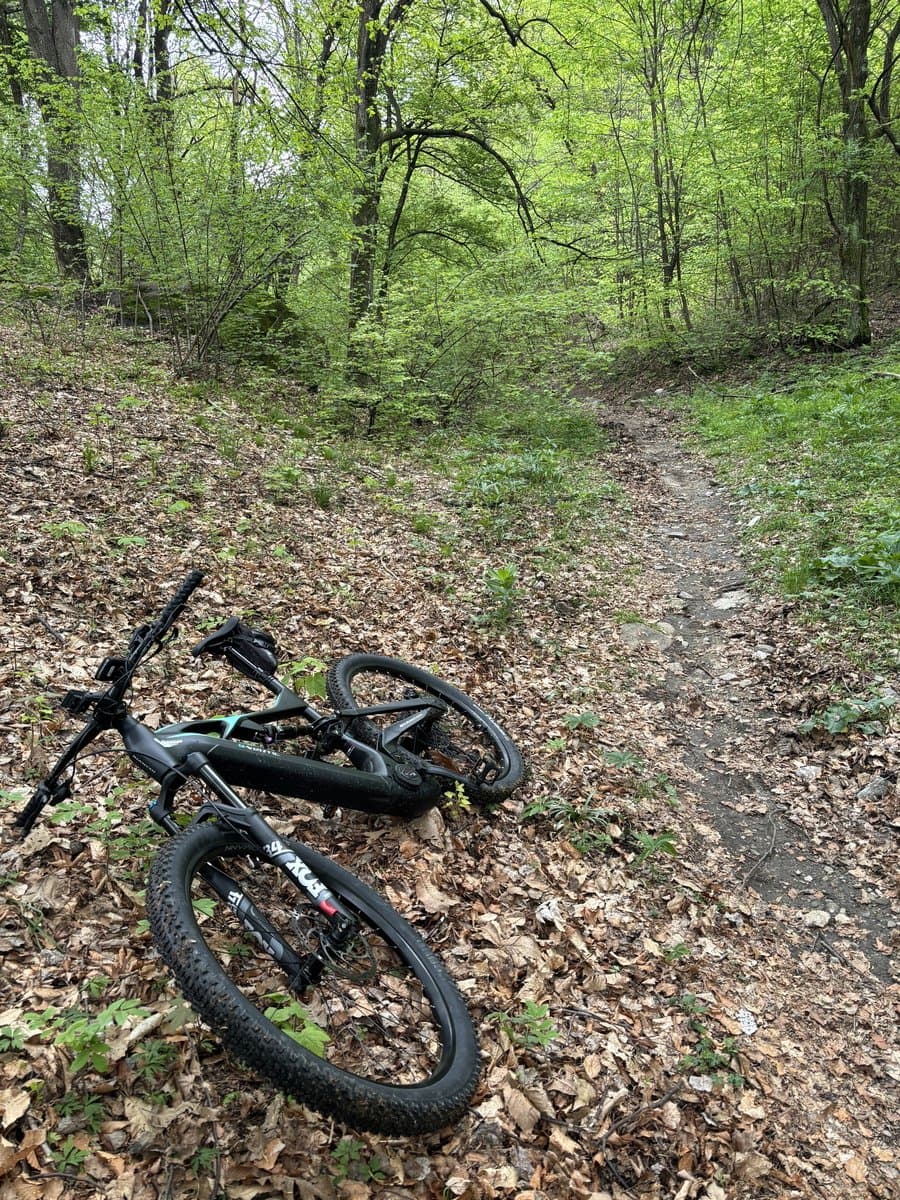 MTB Custom Tours 28 MTB Custom Tours 28