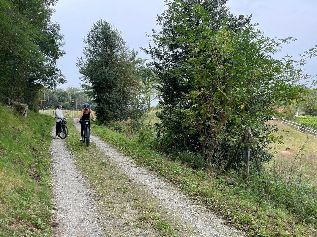 Italian-Swiss Wine & Bike Tour *From Como Italian-Swiss Wine & Bike Tour *From Como